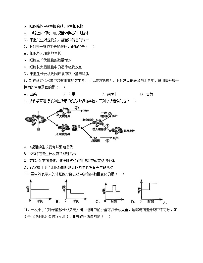 吉林省长春市吉林大学附属中学2025_2026学年七年级上学期期中生物考试卷（文字版，含答案）第2页