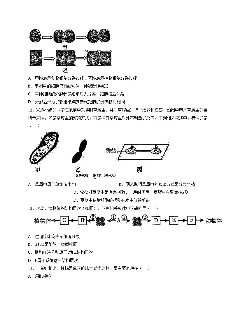 吉林省长春市吉林大学附属中学2025_2026学年七年级上学期期中生物考试卷（文字版，含答案）第3页