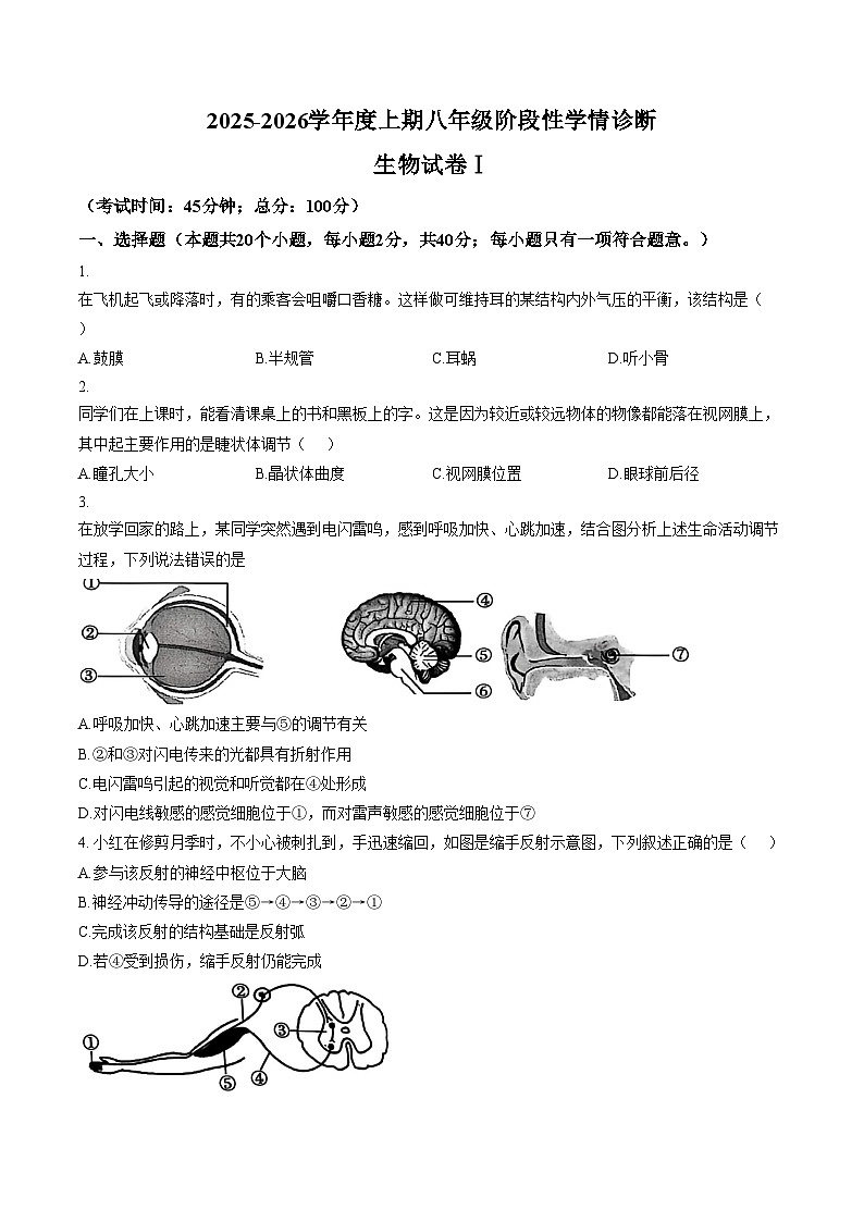 四川省南充市南部县2025_2026学年度上期八年级阶段性学情诊断 生物试卷Ⅰ（文字版，含答案）第1页