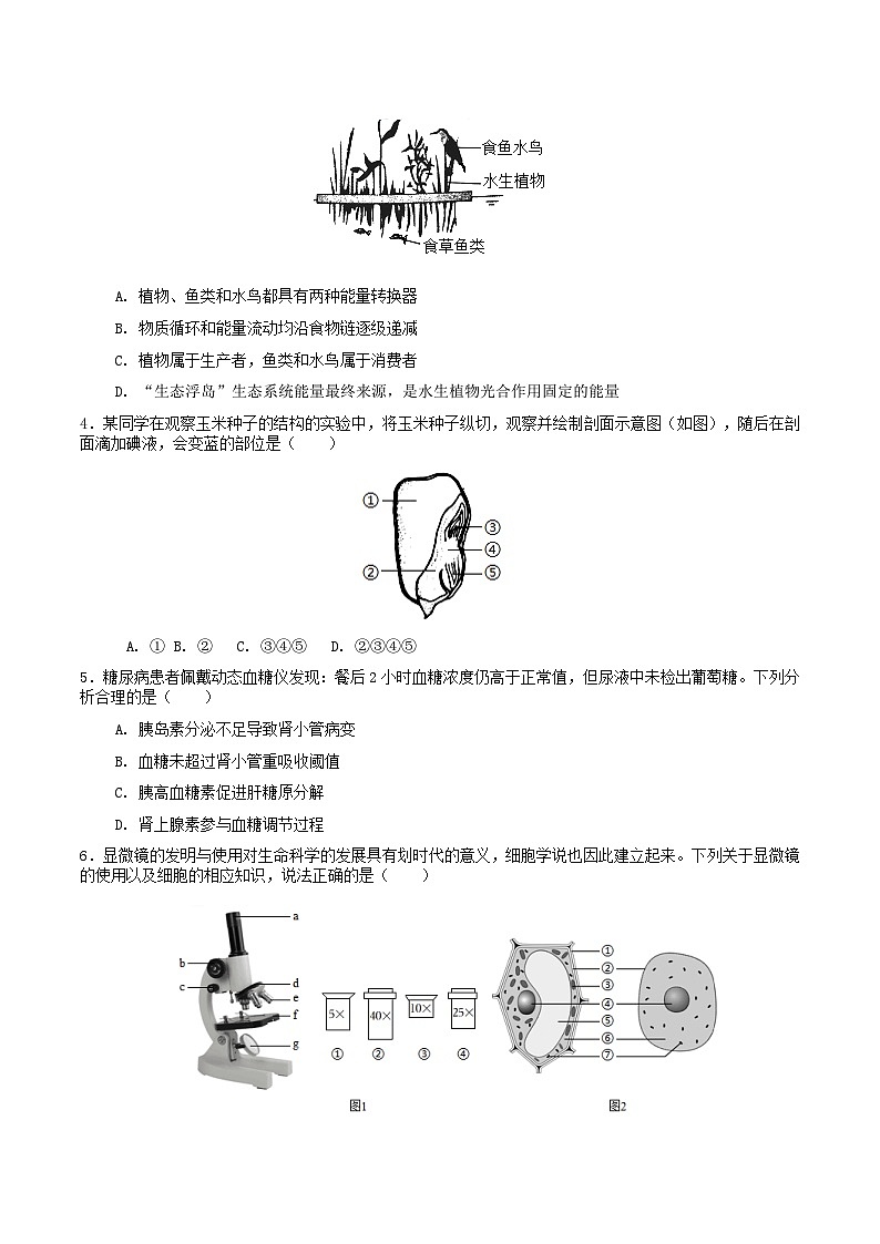 生物一模模拟卷02（全国通用）（考试版）第2页