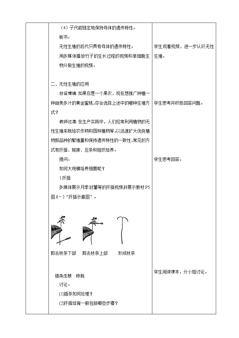 1.1  无性生殖（教案）2025-2026学年人教版八年级生物下册第3页