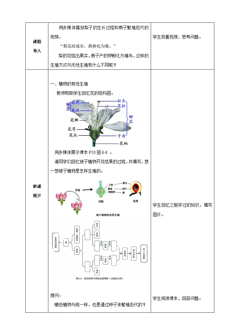 1.2.1 植物的有性生殖、动物的有性生殖（教案）2025-2026学年人教版八年级生物下册第2页