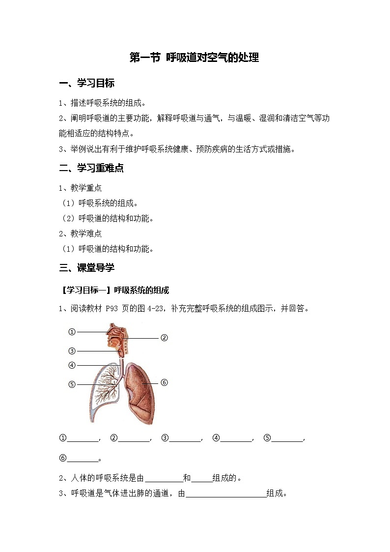 人教2024初中生物七下4-3-1《呼吸道对空气的处理》导学案（无答案）第1页