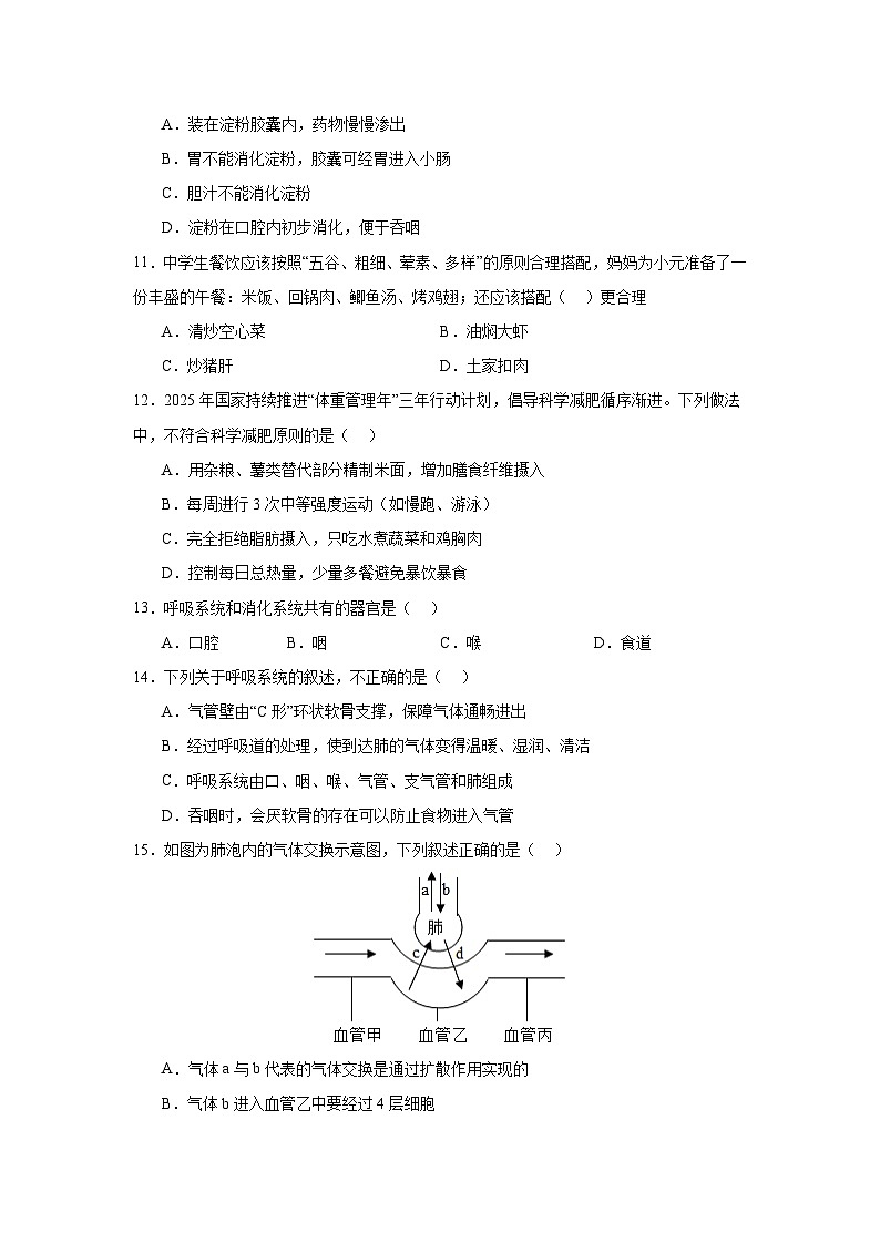 人教2024初中生物七下《第四单元 人体生理与健康测试》测试卷（无答案）第3页