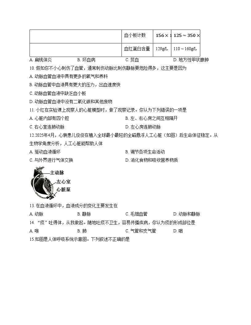 河南省平顶山市汝州市2025_2026学年八年级上学期11月期中生物试题（文字版，含答案）第3页