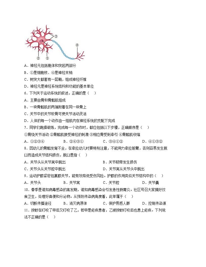 四川省资阳市安岳中学2025_2026学年八年级上学期期中考试生物试题（文字版，含答案）第2页