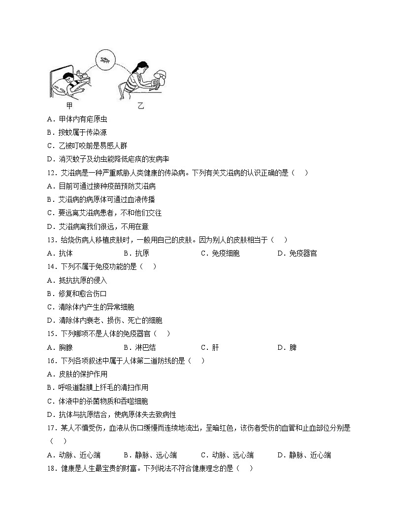 四川省资阳市安岳中学2025_2026学年八年级上学期期中考试生物试题（文字版，含答案）第3页