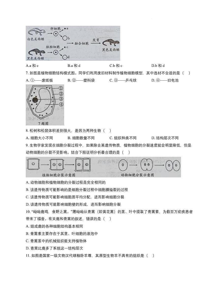 河南省周口市鹿邑县2025_2026学年七年级上学期期中生物试卷（含答案）第2页
