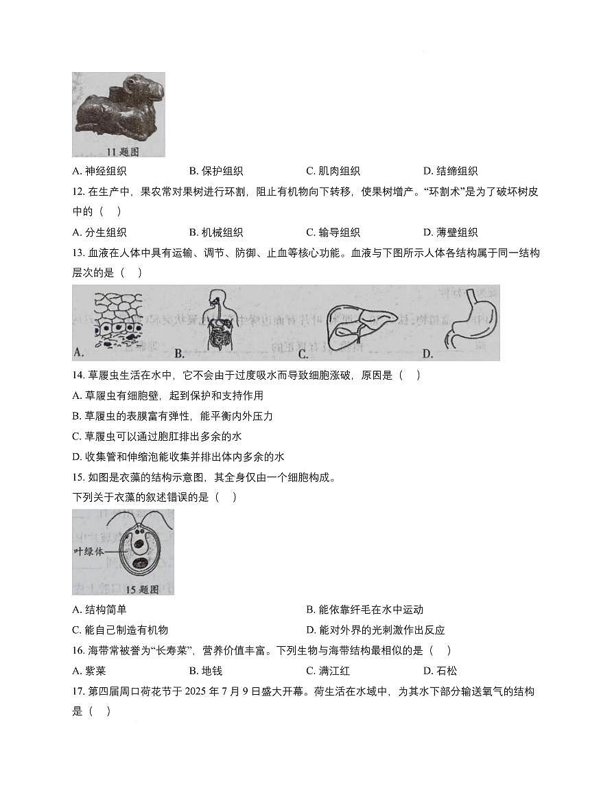 河南省周口市鹿邑县2025_2026学年七年级上学期期中生物试卷（含答案）第3页