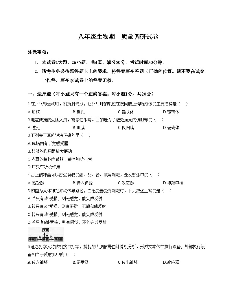 河南省信阳市平桥区2025_2026学年八年级上学期11月期中生物试题（文字版，含答案）第1页