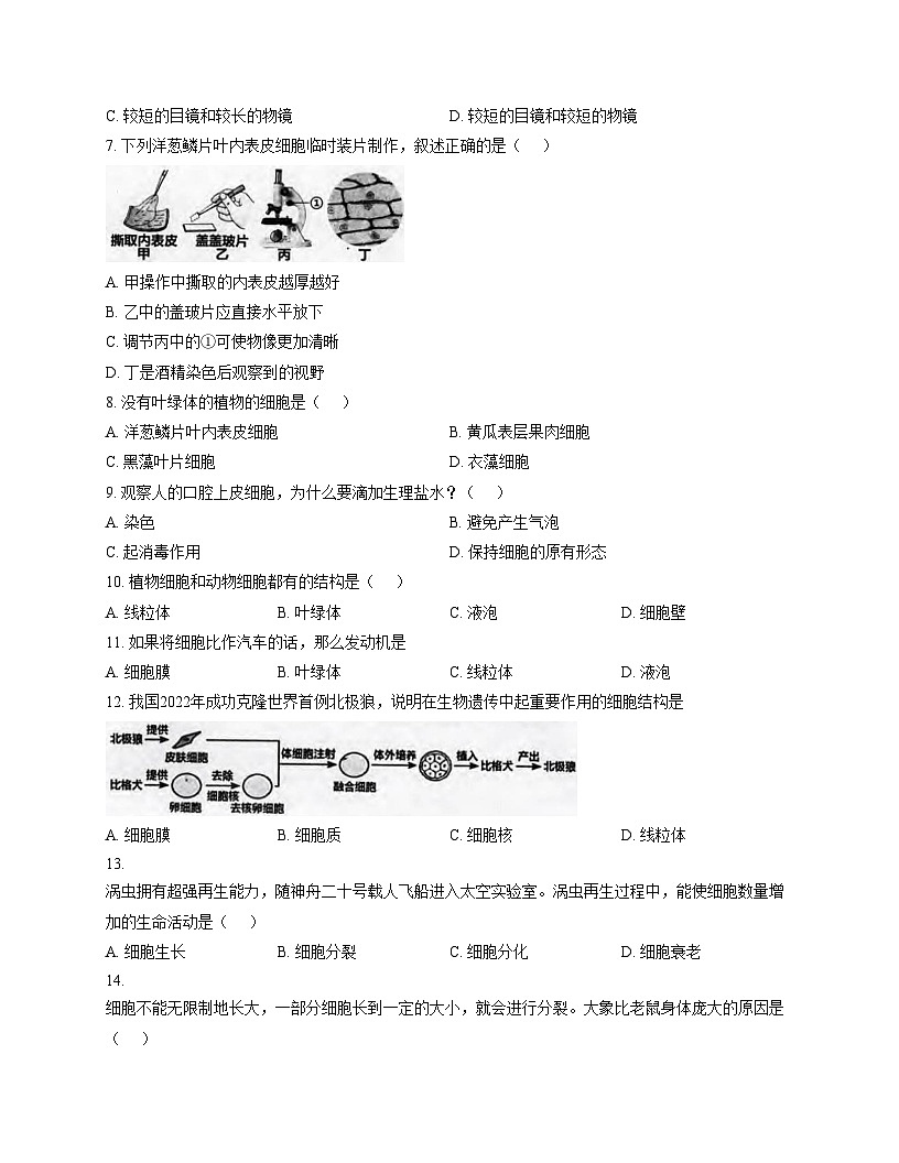 河南省信阳市平桥区2025_2026学年七年级上学期11月期中生物试题（文字版，含答案，含答题卡）第2页