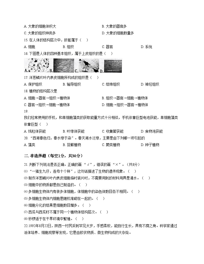 河南省信阳市平桥区2025_2026学年七年级上学期11月期中生物试题（文字版，含答案，含答题卡）第3页