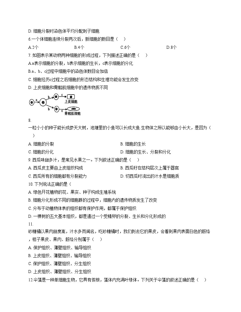 辽宁省沈阳市南昌中学2025_2026学年七年级上学期生物期中试题（文字版，含答案）第2页