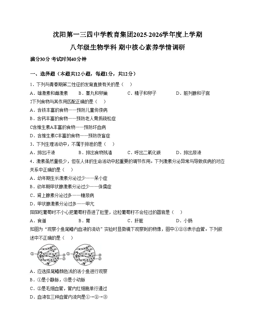 辽宁省沈阳市一三四中学2025_2026学年八年级上学期生物期中试题（文字版，含答案）第1页