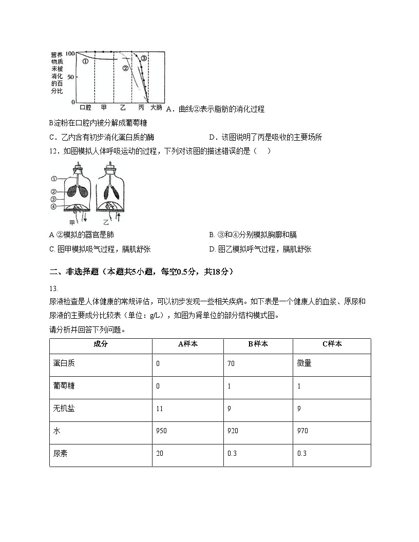 辽宁省沈阳市一三四中学2025_2026学年八年级上学期生物期中试题（文字版，含答案）第3页