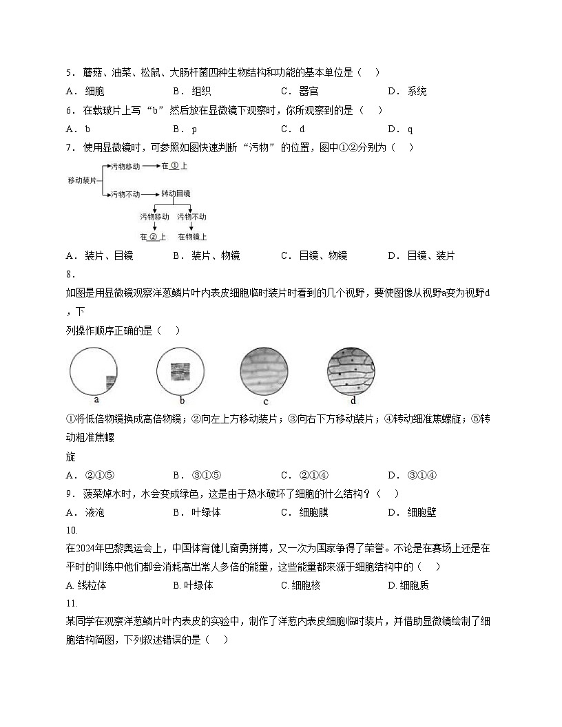 河北省石家庄市第三十八中学2025_2026学年七年级上学期11月期中生物试题（文字版，含答案）第2页