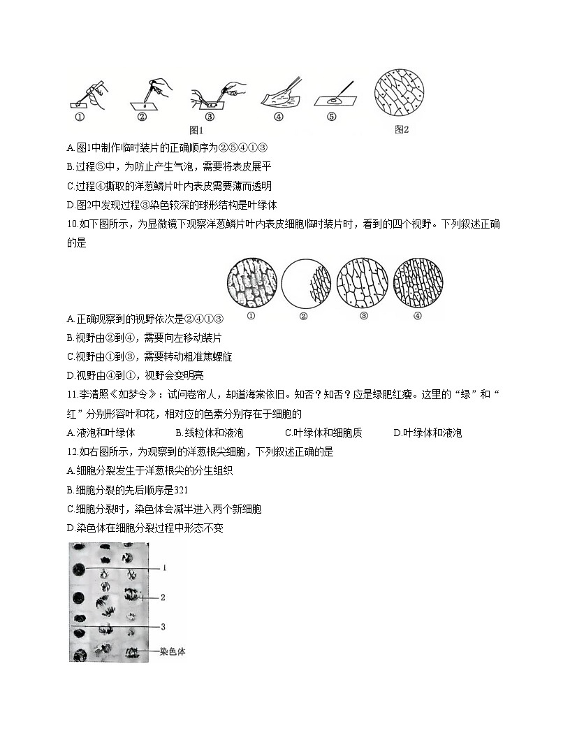 山东省济宁市曲阜市2025_2026学年七年级上学期期中考试生物试题（文字版，含答案）第3页