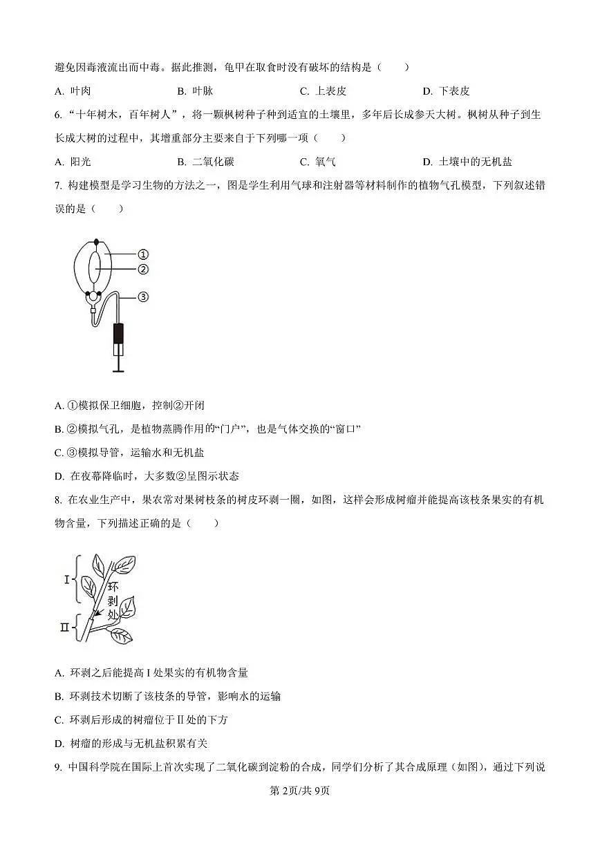 2024-2025深圳中学七年级（下）期中生物试卷第2页