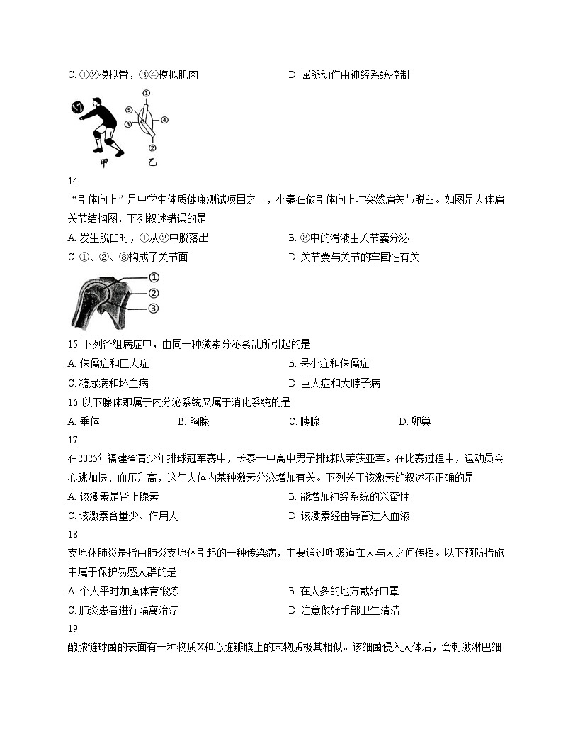 福建省漳州市长泰区2025_2026学年八年级上学期期中考试生物试题（文字版，含答案）第3页