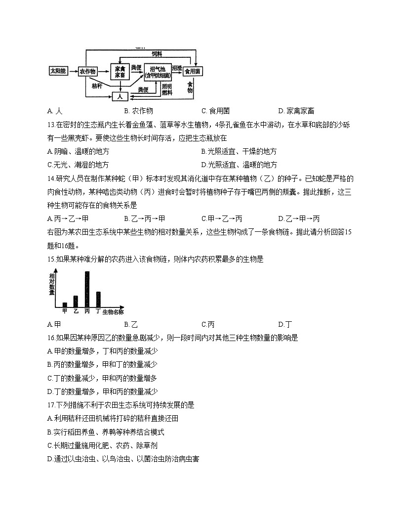 山东省泰安市泰山区2025_2026学年七年级上学期11月期中生物试题（文字版，含答案）第3页