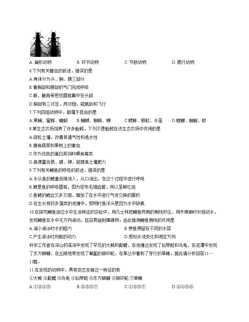 山东省泰安市泰山区2025_2026学年八年级上学期期中考试生物试题（文字版，含答案）第2页