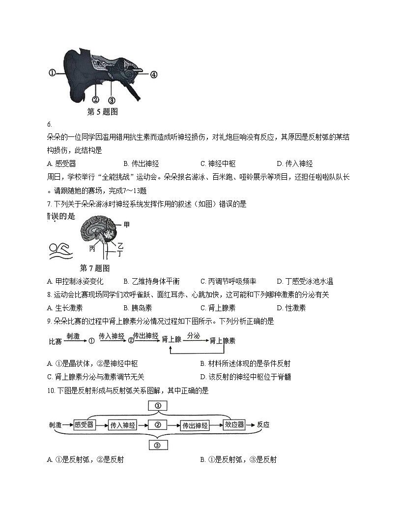 福建省三明市尤溪县2025_2026学年八年级上学期11月期中生物试题（文字版，含答案）第2页