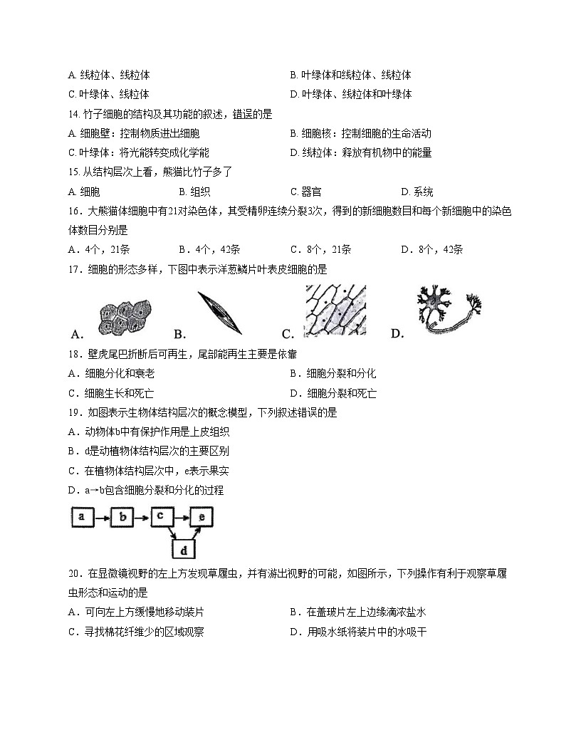 福建省三明市尤溪县2025_2026学年七年级上学期11月期中生物试题（文字版，含答案）第3页