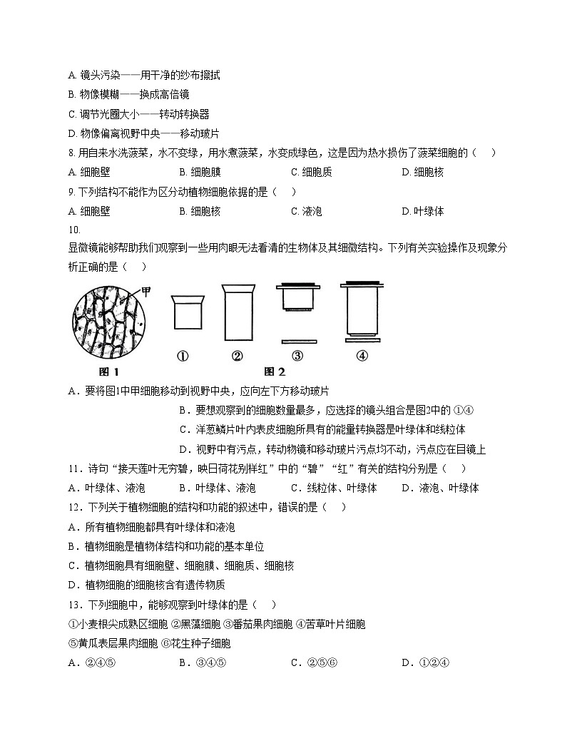 江西省赣州市南康区2025_2026学年七年级上学期期中生物试题（文字版，含答案）第2页