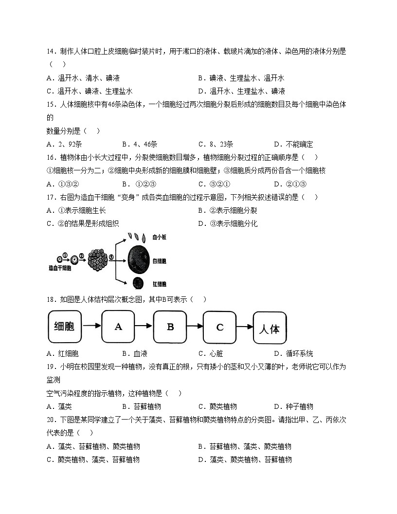 江西省赣州市南康区2025_2026学年七年级上学期期中生物试题（文字版，含答案）第3页