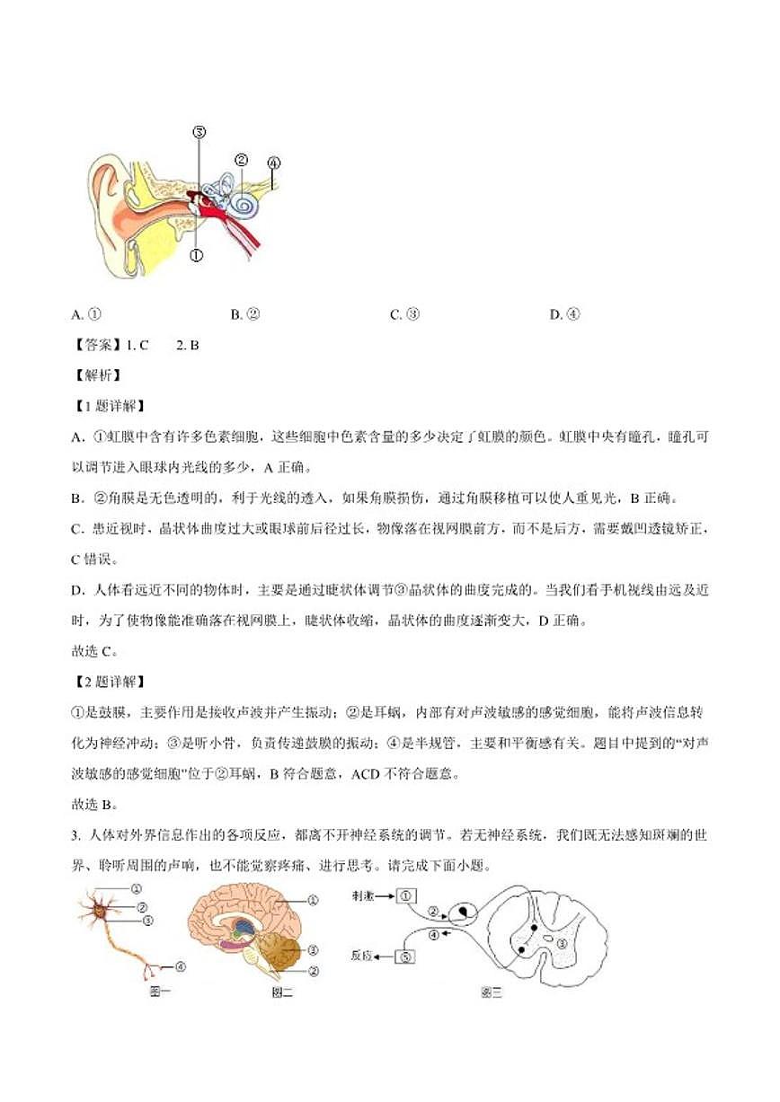2025-2026学年山东临沂市兰陵县八年级上学期期末质量调研生物（含解析）试卷第2页