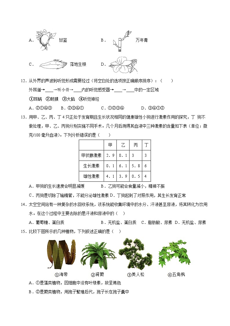2026年中考生物第一次模拟卷（天津卷）（考试版A4）第3页