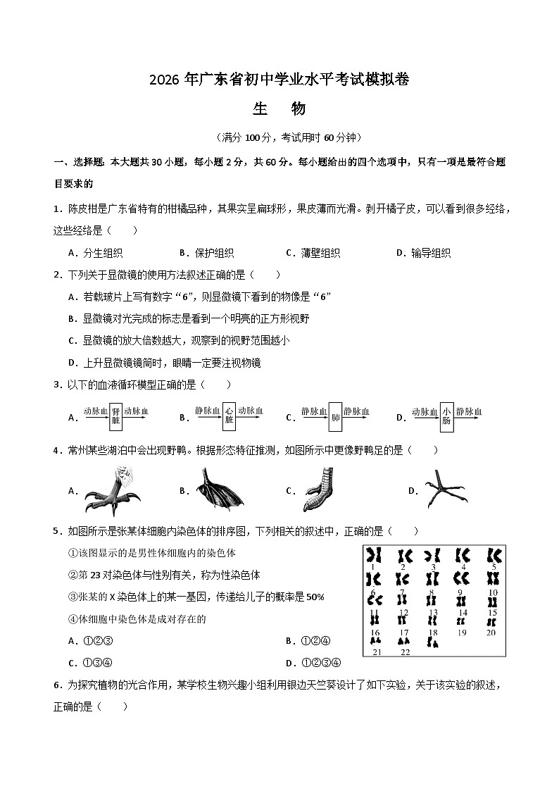 2026年广东中考模拟生物试卷含答案（二）第1页