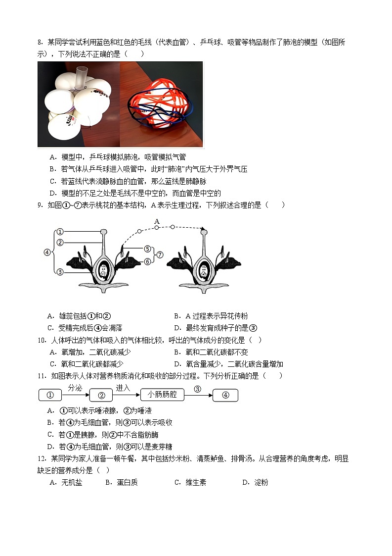 广东省惠州市惠阳区2026年中中考模拟生物试卷含答案（四）第2页