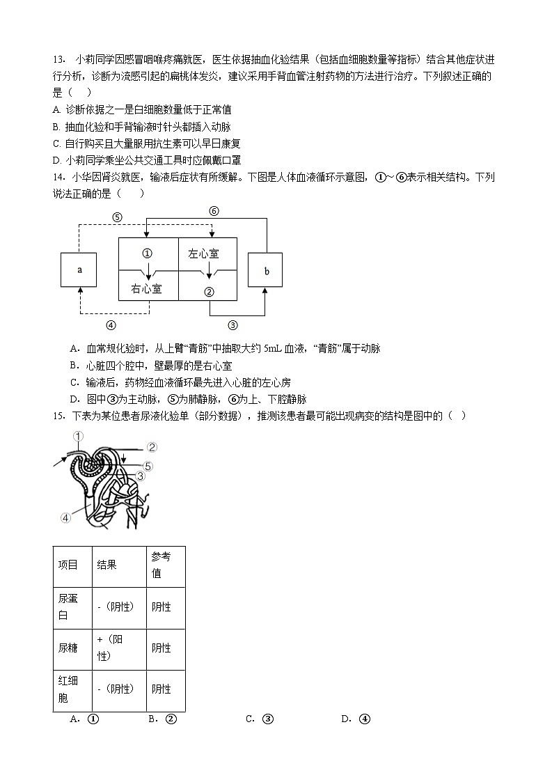 广东省惠州市惠阳区2026年中中考模拟生物试卷含答案（四）第3页