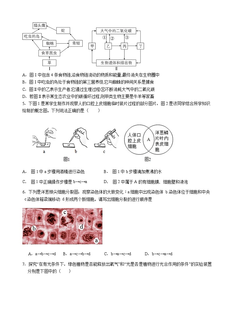 广东省惠州市惠阳区2026年中考模拟生物试卷含答案（三）第2页