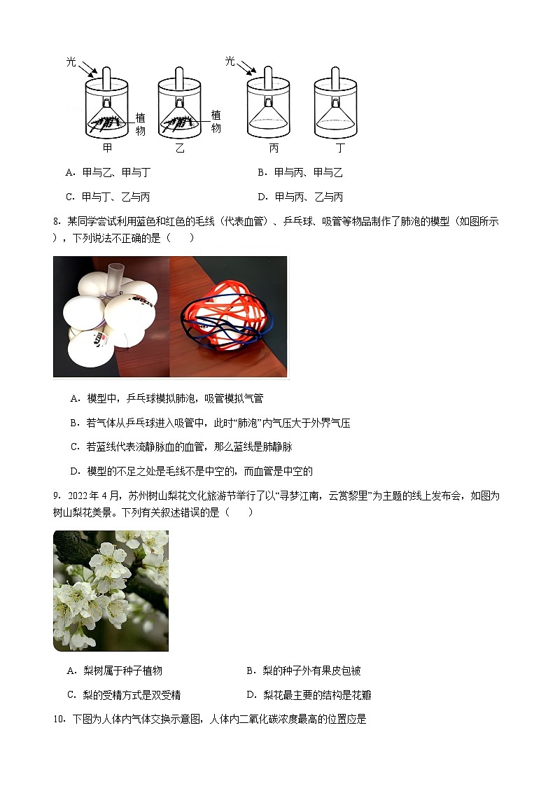 广东省惠州市惠阳区2026年中考模拟生物试卷含答案（三）第3页