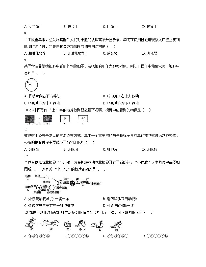 河北省邯郸市育华中学2025_2026学年七年级上学期11月期中生物试题（文字版，含答案）第2页