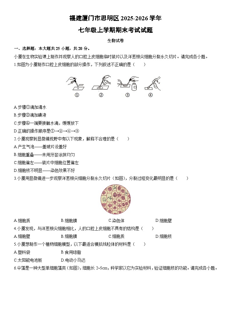 2025-2026学年福建厦门市思明区七年级上学期期末考试生物试卷（学生版）第1页