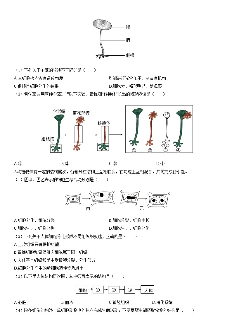 2025-2026学年福建厦门市思明区七年级上学期期末考试生物试卷（学生版）第2页