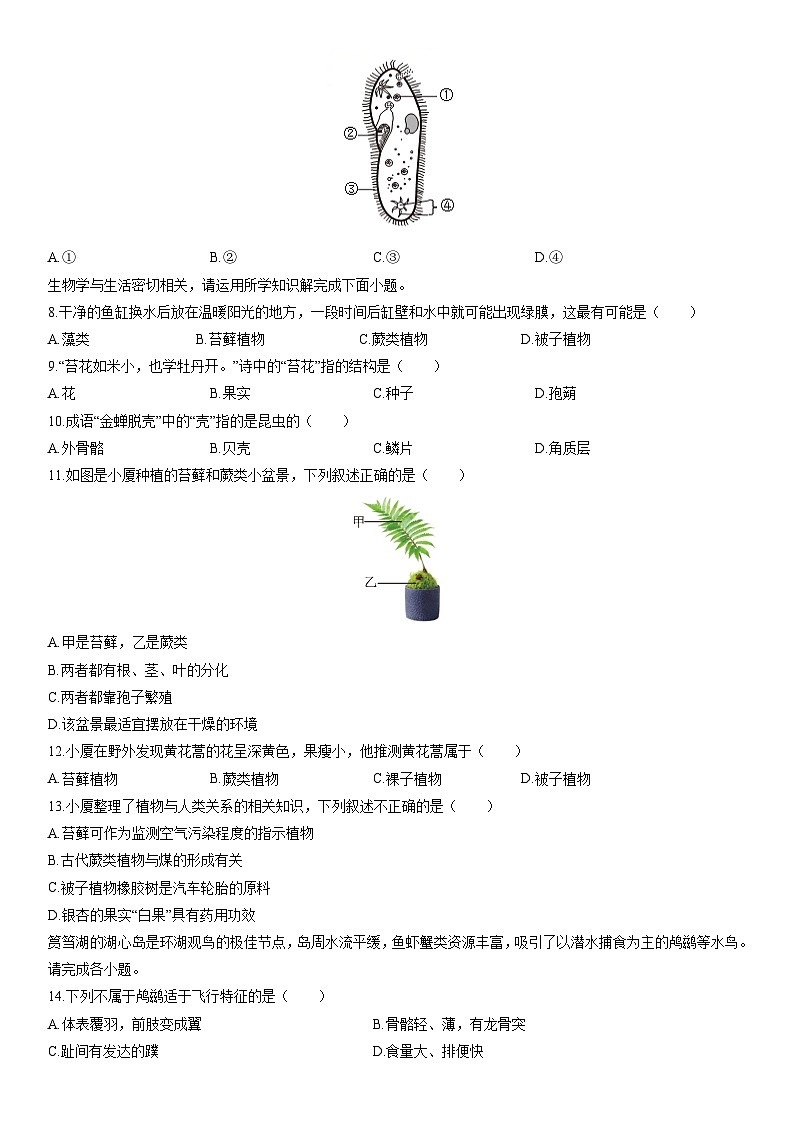 2025-2026学年福建厦门市思明区七年级上学期期末考试生物试卷（学生版）第3页