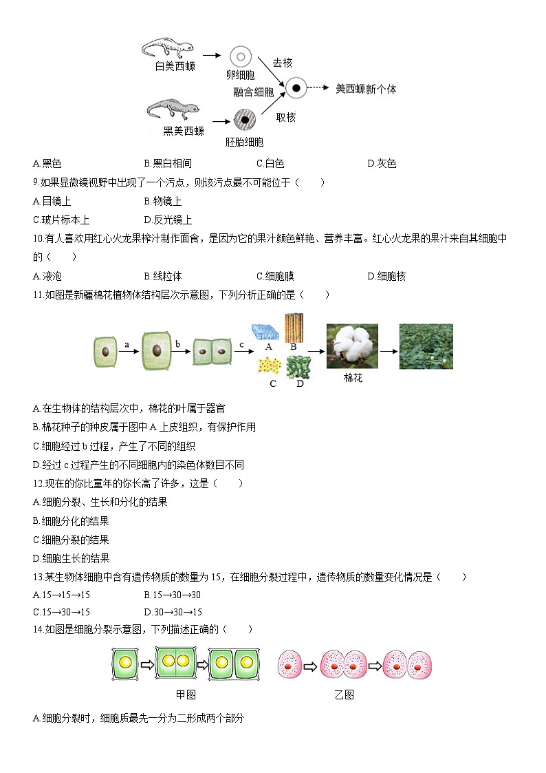 2025-2026学年河南郑州市中原区七年级上学期期末考试生物试卷（学生版）第2页
