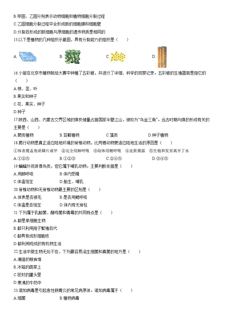 2025-2026学年河南郑州市中原区七年级上学期期末考试生物试卷（学生版）第3页
