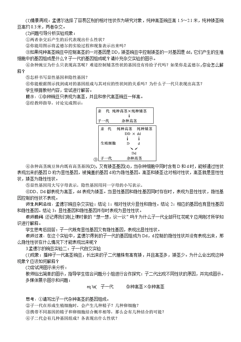 2026年八年级生物下册 人教版（2024）电子教案第2章　生物的遗传与变异第3节　基因的显性和隐性第2页