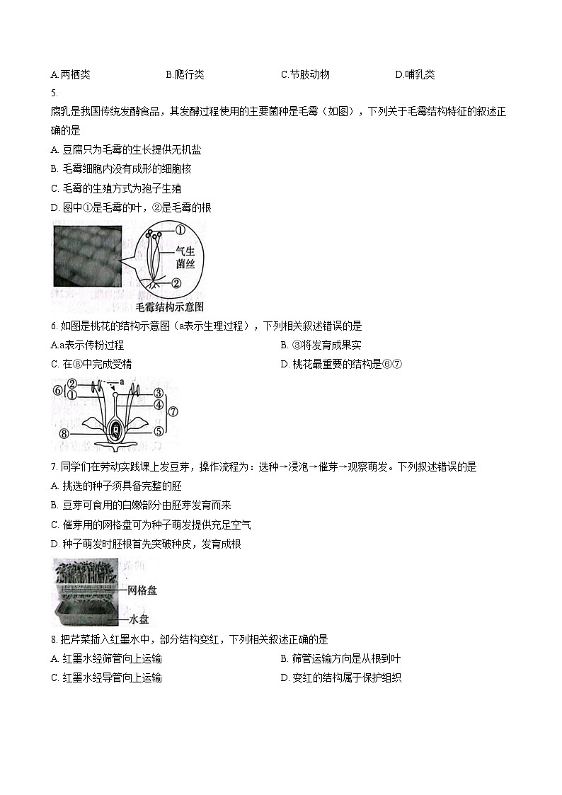 2026年河北保定市高碑店市初中学业水平模拟预测生物试题(文字版含答案)第2页