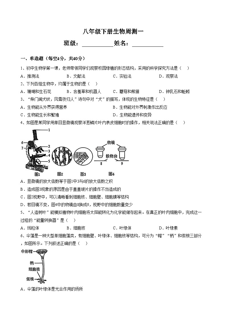 四川省南充市南部县第二中学2025_2026学年八年级下学期生物周末练习试题（一）（文字版，含答案）第1页