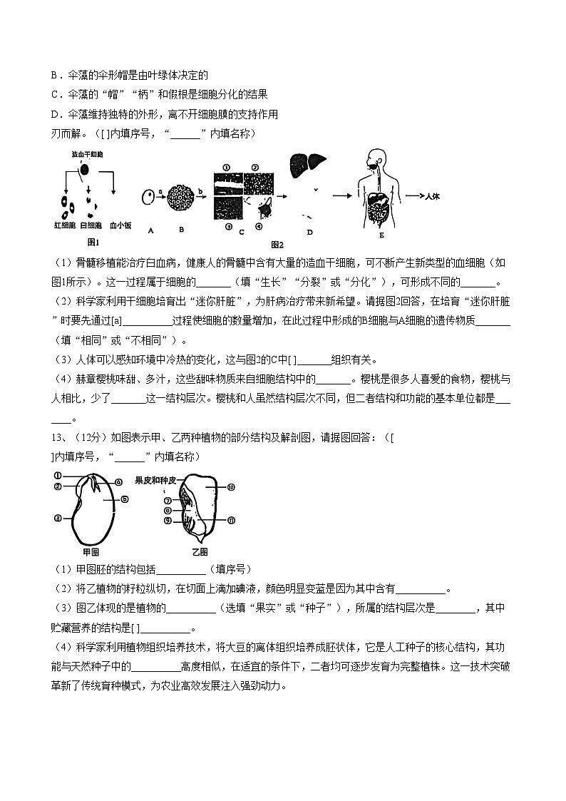 四川省南充市南部县第二中学2025_2026学年八年级下学期生物周末练习试题（一）（文字版，含答案）第2页