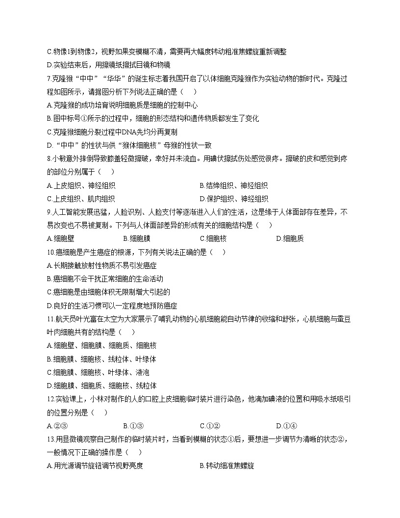 山东省聊城市临清市2025_2026学年七年级上学期期中调研生物试题（文字版，含答案）第2页