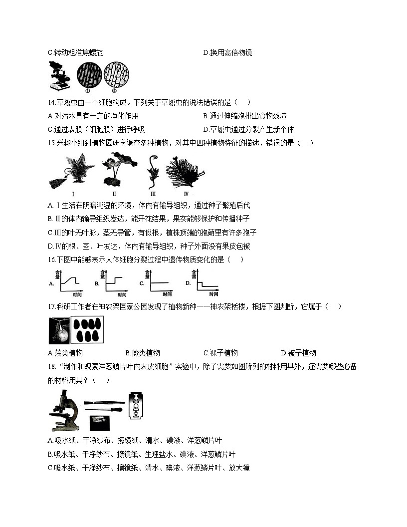 山东省聊城市临清市2025_2026学年七年级上学期期中调研生物试题（文字版，含答案）第3页