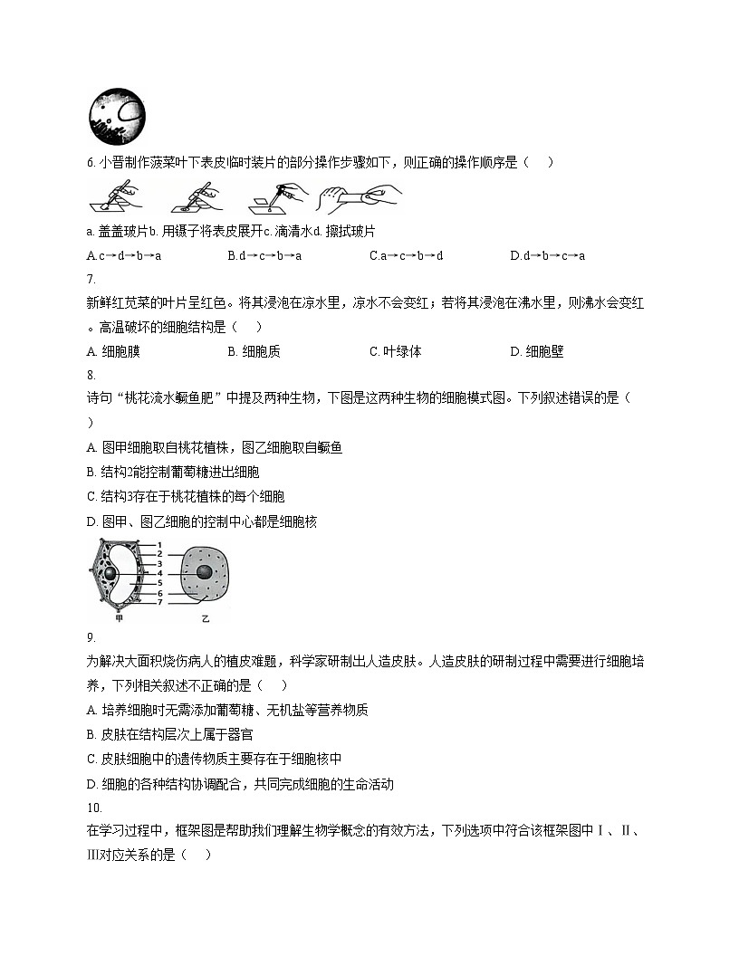 山东省聊城市东昌府区多校联考2025_2026学年七年级上学期期中调研生物试题（文字版，含答案）第2页