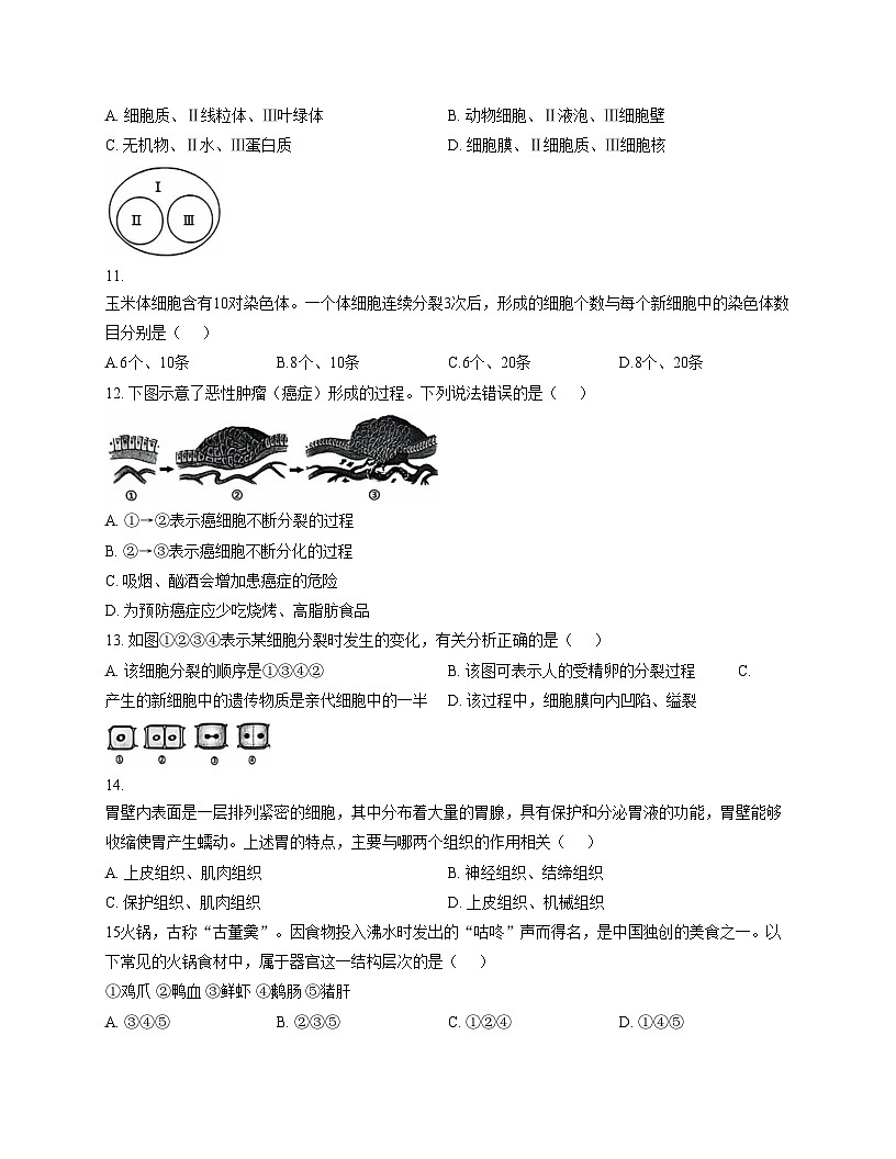 山东省聊城市东昌府区多校联考2025_2026学年七年级上学期期中调研生物试题（文字版，含答案）第3页